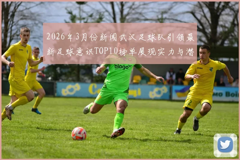 2026年3月份新闻武汉足球队引领最新足球意识TOP10榜单展现实力与潜力